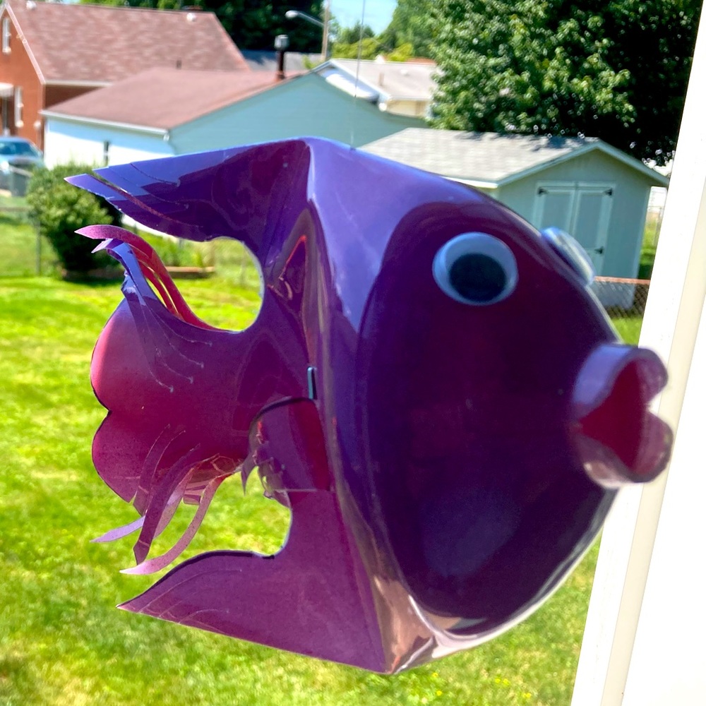Handmade Water Bottle Fish 🐠